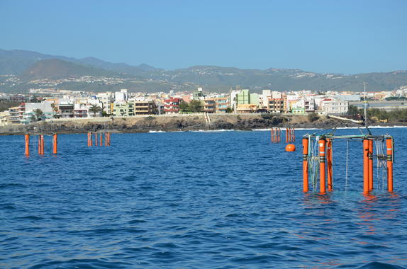 <p>Mesocosmos instalados en aguas de Taliarte (Gran Canaria) cerca de las instalaciones de la Plataforma Oceánica de Canarias (PLOCAN). Fotos PLOCAN. </p>