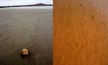 <p>Las piedras errantes o ‘navegantes’ se mueven durante las tormentas ventosas del invierno sobre tapices bacterianos, según la hipótesis de los investigadores. / Sanz-Montero et al./UCM</p>