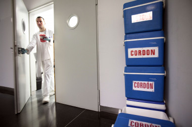<p>El Plan Nacional de Cordón contempla que hay que llegar a las 60.000 unidades almacenadas en España. Imagen: SINC</p>