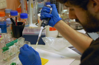 <p>Un científico trabaja en un laboratorio. Imagen: SINC</p>