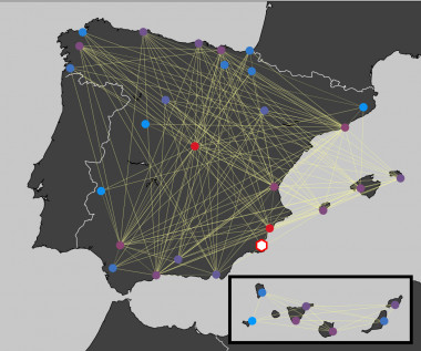 <p>Red de conexiones aéreas entre aeropuertos en España (el rojo señala alta probabilidad, y el azul, probabilidad baja). Imagen: J. Fernandez-Gracia, P. Fleurquin, M.A. Tugore.</p>