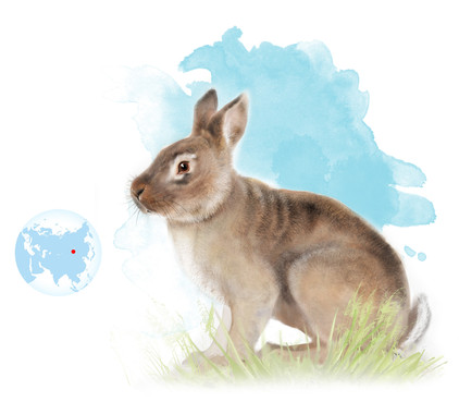 <p>Ilustración del <em>Ampliagus tomidai</em>./ José Antonio Peñas (Sinc).</p>