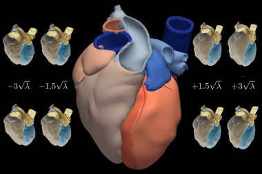 <p>Atlas del corazón y variaciones estadísticas. / UPF</p>
