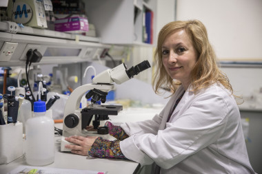 <p>Cristina Risco en su laboratorio del Centro Nacional de Biotecnología (CNB-CSIC). / SINC</p>