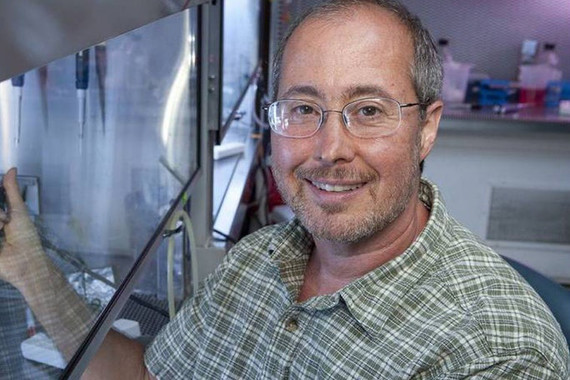<p><strong>Ben Barres.</strong> Neurobiólogo de la Universidad de Stanford y primer científico transexual en pertenecer a la Academia Nacional de Ciencias. Falleció el 20 de diciembre de 2017 a causa de un cáncer de páncreas.</p>