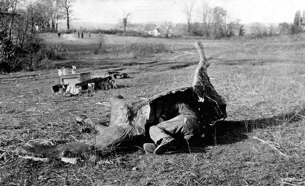 <p>Cualquier cosa era buena con tal de permanecer invisible para el enemigo. Se inventaron camuflajes tan curiosos como estos caballos que eran usados por francotiradores. / U.S. Army Signal Corps / Brett Butterworth</p>