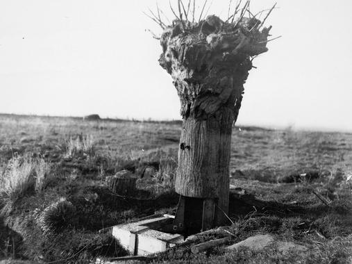 <p><em> </em>En ambos bandos se agudizaba el ingenio para observar sin ser visto. En la imagen, un falso árbol británico usado como puesto de observación. / Australian official photographs / State Library of New South Wales</p>