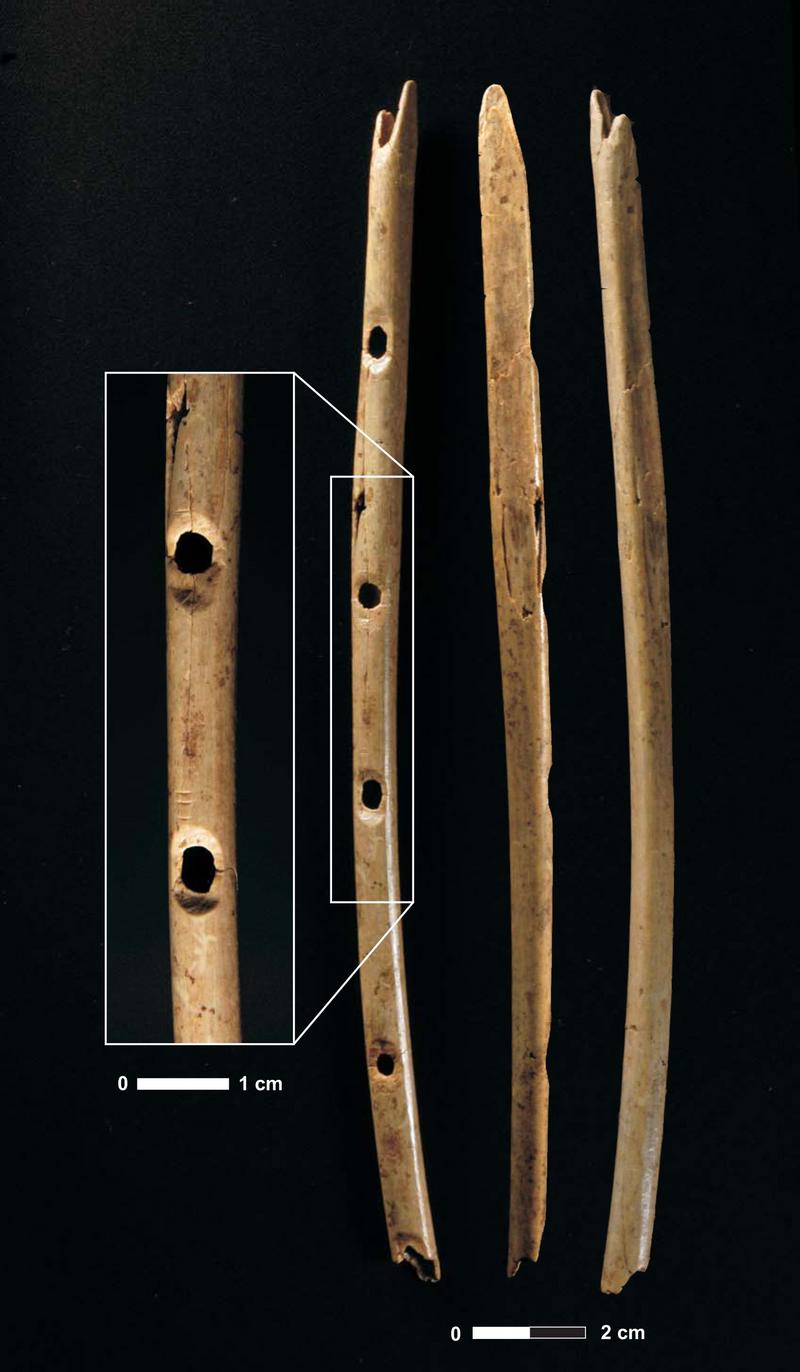 Una flauta, el instrumento musical más antiguo del mundo / Fotografías