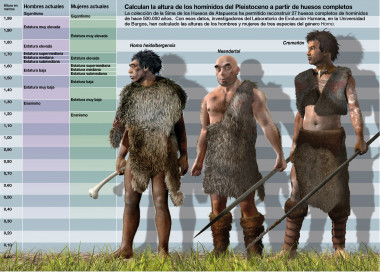 <p>Los investigadores han calculado la altura de los homínidos del Pleistoceno a partir de huesos completos. Imagen: SINC/José Antonio Peñas.</p>
