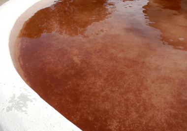 <p>Water in a basin in Fuente Encalada (Zamora) was stained red due to the presence of the algae <em>Haematococcus pluvialis,</em> brought by the rain. / Joaquín Pérez</p>