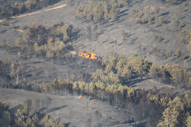 <p>Areas burnt after the fire in Oia (Pontevedra) in which more than 1,800 hectares burned in 2013. / Contando estrelas</p>
