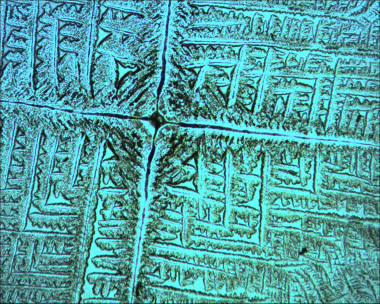 <p>Dried biosaline patterns formed by the interaction of <em>Escherichia coli</em> cells with common salt. / Credit: J. M. Gómez-Gómez</p>