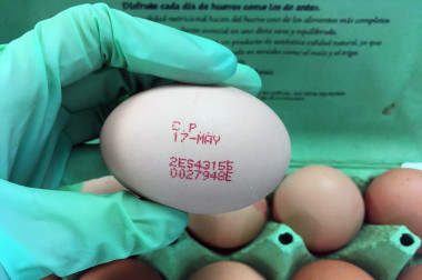 <p>Example of an egg encoded with the number 2 (chicken raised on the floor). / Gema Puertas</p>