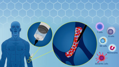 <p>Researchers have analysed how graphene oxide affects various cell types of our immune system. / Credit: G-IMMUNOMICS</p>