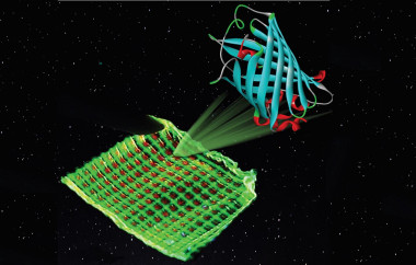 <p>Image of a colour filter with green and red luminescent proteins printed on a microgrid structure. Credit: Katharina Weber</p>