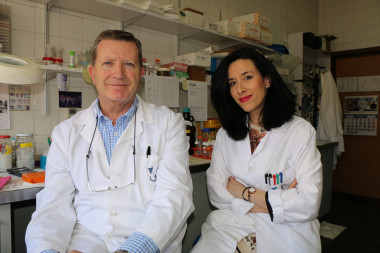 <p>Los investigadores de la Universidad de Málaga José Ángel Aguirre y Noela Rodríguez. / UMA</p>