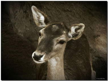 <p>Foto: Santi M.B.</p>