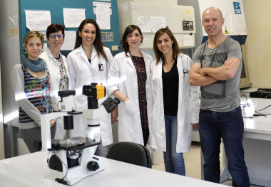 <p>Grupo de Neuroinmunología de Enfermedades inflamatorias y autoinmunes del Instituto de Parasitología y Biomedicina López-Neyra-CSIC Granada. / Fundación Descubre</p>