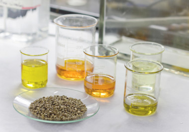 <p>Semillas de cáñamo y distintos tipos de aceite utilizados durante la investigación. / Clarisa Guerra</p>