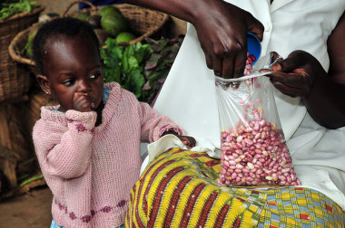 <p>Cerca de un 30% de la población mundial está afectada por la deficiencia de hierro. Imagen por <a href="http://www.flickr.com/photos/ciat/4105546535/lightbox/" target="_blank">Neil Palmer</a>.</p>