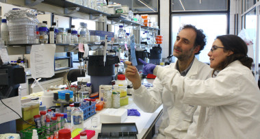 <p>Los investigadores Carlos Saura y Lilian Enríquez en su laboratorio. (Autores: Arnaldo Parra i Carlos Saura)</p>