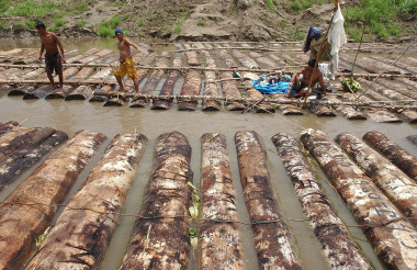 <p> Árboles de cumala talados ilegalmente, son trasladados por el río Nanay a los aserraderos de Iquitos (Perú). / Efe</p>
