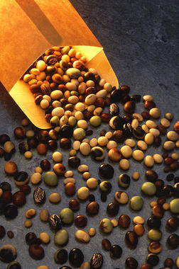 <p>Variedades de soja. Foto: Scott Bauer.</p>