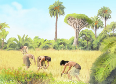 <p>La llegada de los aborígenes afectó a la vegetación de la isla y provocó la disminución o desaparición de algunos árboles y la expansión de los arbustos y herbáceas. / <a href="http://www.agenciasinc.es/Multimedia/Ilustraciones/Asi-cambio-la-vegetacion-de-Gran-Canaria-con-la-llegada-de-los-humanos" target="_blank">José Antonio Peñas (Sinc)</a></p>