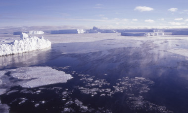 <p>Incluso en las zonas polares, durante el invierno, una proporción elevada de las bacterias tienen rodopsinas. / Carlos Pedrós-Alió, CNB-CSIC</p>