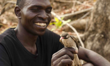 <p>El cazador de miel Orlando Yassene sostiene en su mano a un pájaro guía macho, capturado de manera temporal para el estudio realizado en la Reserva Nacional Niassa en Mozambique. / Claire Spottiswoode</p>