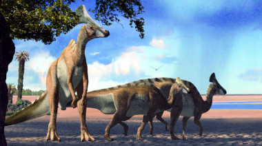 <p>Recreación de hadrosáuridos lambeosaurinos del Cretácico superior. / Oscar Sanisidro-ICP</p>