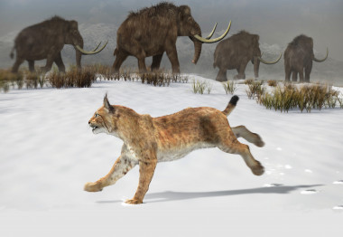 <p>Reconstrucción del lince ibérico que habitó la península ibérica hace 1,6 millones de años. / José Antonio Peñas (Sinc). Una <a href="http://www.agenciasinc.es/Multimedia/Videos/Un-lince-de-hace-1-6-millones-de-anos" target="_blank">animación del animal en 3D </a>está disponible para descargar.</p>