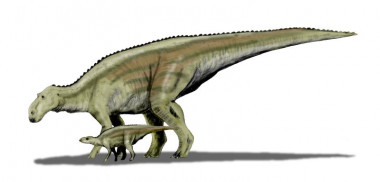 <p>Reconstrucción de <em>Maiasaura peeblesorum. </em>/ <a href="http://spinops.blogspot.com" target="_blank">Nobu Tamura</a></p>
