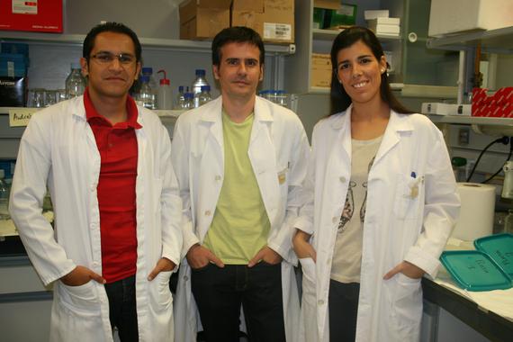 <p>Los investigadores Andrés Cruz, Pablo Huertas y Ana López en su laboratorio de trabajo en el CABIMER. / US</p>