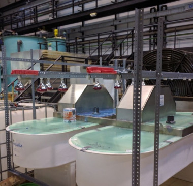 <p>Fotobiorreactores tipo carrusel instalados en la planta de tratamiento de aguas residuales de la Universidad Rey Juan Carlos antes de iniciar su operación. / Centro de Apoyo Tecnológico, Campus de Móstoles (URJC)</p>