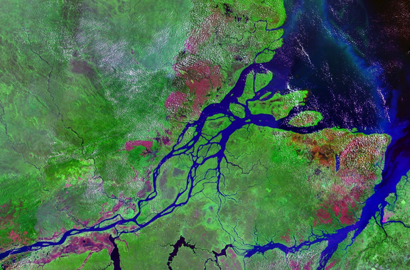 <p>Desembocadura del Amazonas. / <a href="http://es.wikipedia.org/wiki/R%C3%ADo_Amazonas#mediaviewer/Archivo:Mouths_of_amazon_geocover_1990.png" target="_blank">Wikipedia</a>.</p>