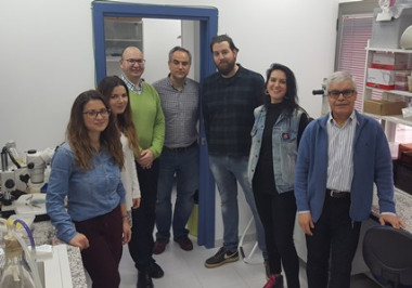<p>Investigadores del Grupo de Investigación de Biología Molecular del Cáncer de la Universidad de Extremadura. / UEx</p>