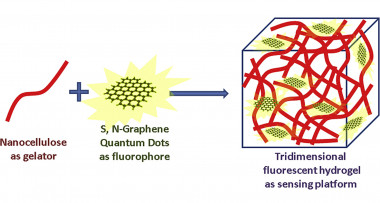 <p>El hidrogel fluorescente usado como sensor está fabricado con nanocelulosa y puntos de grafeno cuánticos. / UCO</p>