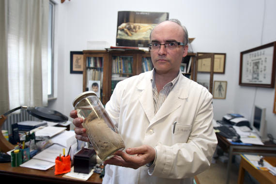 <p>Juan Francisco Pastor, con una lengua de oso panda. Foto: UVa.</p>