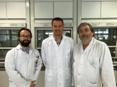<p>En la imagen adjunta, el equipo de investigadores de la Universidad de Granada que ha participado en este trabajo. De izquierda a derecha: José M. Méndez, Miguel A. Galindo y Juan M. Salas. / UGR</p>