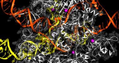 <p>El descubrimiento de CRISPR ha supuesto una revolución tecnológica para la investigación en ciencias de la vida. / Broad Institute</p>