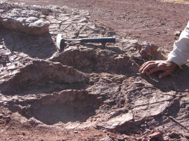 <p>Huella gigante encontrada en Iouaridène. Foto: UR.</p>