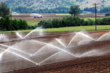 <p>Los resultados de este estudio ponen de relieve el destacado papel del comercio como mecanismo de adaptación para compensar la disparidad regional en cuanto a los efectos del cambio climático sobre la productividad agraria / UPM</p>