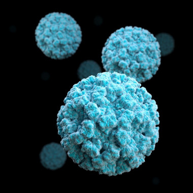 <p>Norovirus. / Fundación Descubre </p>