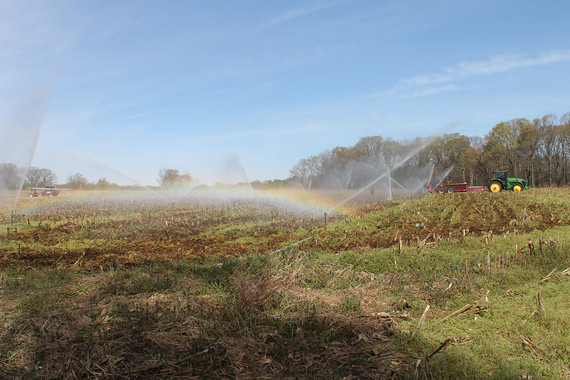 <p>Finca experimental a las afueras de Washington. / Universidad de Córdoba</p>