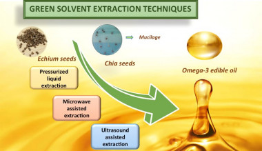 <p>Esquema de las técnicas ‘verdes’ para extraer aceites vegetales ricos en ácidos grasos omega-3. / UAM</p>