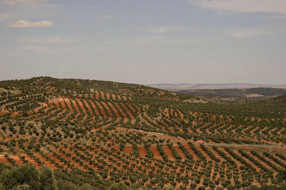 <p>La Red tiene como objetivo, entre otros, incrementar la eficiencia de la acción pública en prevención de riesgos ambientales. Foto: SINC.</p>