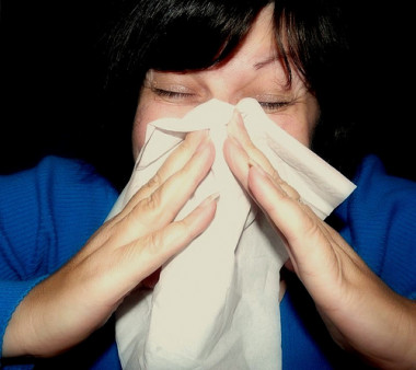 <p>La gripe A es una infección vírica altamente contagiosa en animales que también afecta a los humanos. / <a href="https://www.flickr.com/photos/mcfarlandmo/4014611539/sizes/m/in/photolist-77KW9k-78DQJY-7fKgo5-7hdZG4-7hTaef-7jKFQP-7t5jpn-7vhgi6-f6zFzN-f6kqAB-8ZUSw7-eS434G-7TM6oR-8LV9ma-9zUsri-bzd6VW-dUfg5Z-a3f3vc-esZKku-esWyf4-esWxnK-esZL8J-esWu72-esZJtA-8TQ3sw-bDiPsS-f6kqnx-7zfsNB-8F1XYG-7X2qLH-8eLSTe-cvvMSd-9xq3ZU-7VkS9y-7Cnm43-aJwciP-e2L47q-82k3uX-8XPZJH-8XPYXg-9muZJN-boE82P-8wvJ9r-chB5QN-7BtDJs-a6wzdm-8Wc6iy-7CuRwu-8WB3nw-aA6tnH-9omEAN/" target="_blank">Mcfarlandmo</a></p>