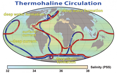 <p>Esquema de las corrientes de circulación termohalina oceánica. Los surcos azules representan corrientes profundas, mientras que los surcos rojos representan corrientes superficiales. / Robert Simmon, NASA</p>