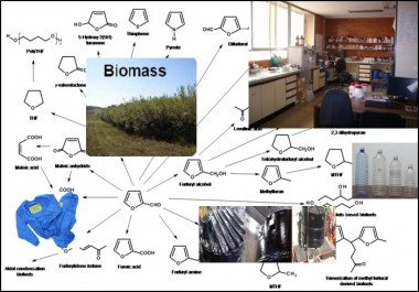 <p>El furfural es un producto catalogado como molécula plataforma por ser un intermedio químico con un amplio espectro de aplicaciones en la denominada biorrefinería lignocelulósica. / Pedro J. Mairelles-Torres</p>
